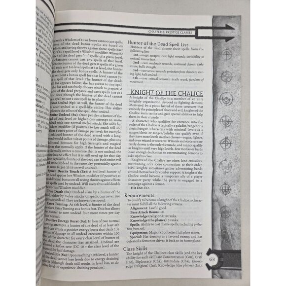 Dungeons & Dragons Defenders Of The Faith Guidebook To Clerics & Paladins 2001 - Picture 7 of 8